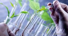 酶解提取技术革新，中药活性成分提取率大幅提升