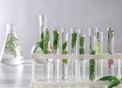 分子蒸馏技术